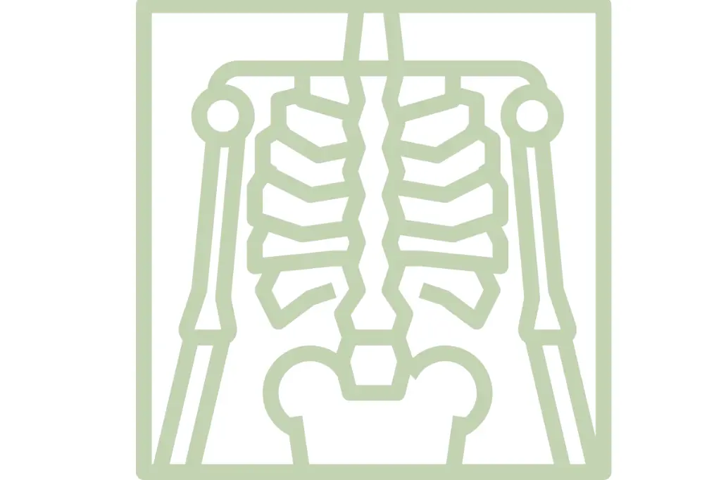 Interpretación de Imágenes Radiológicas